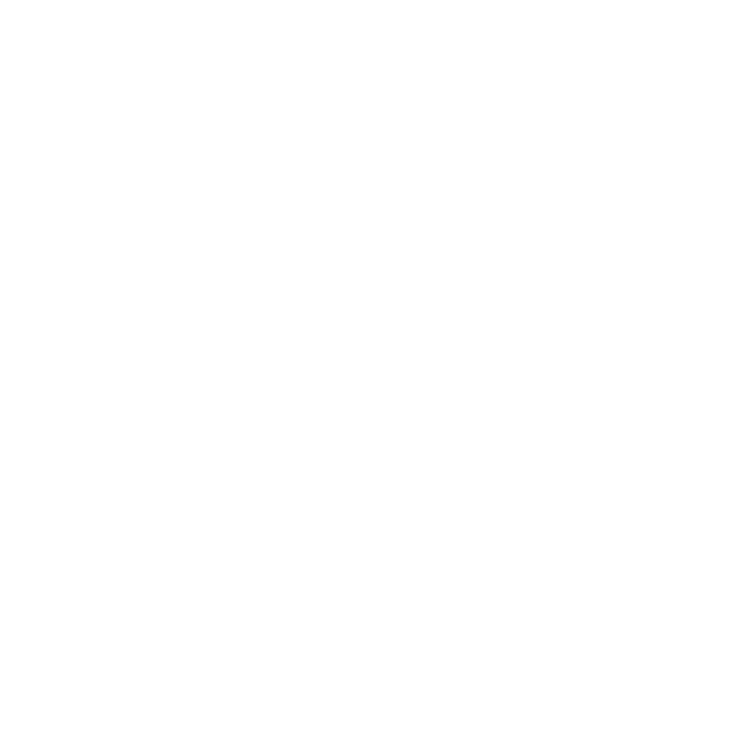 DeepSeek
